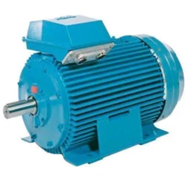 Induction Motor / Synchronous Motor