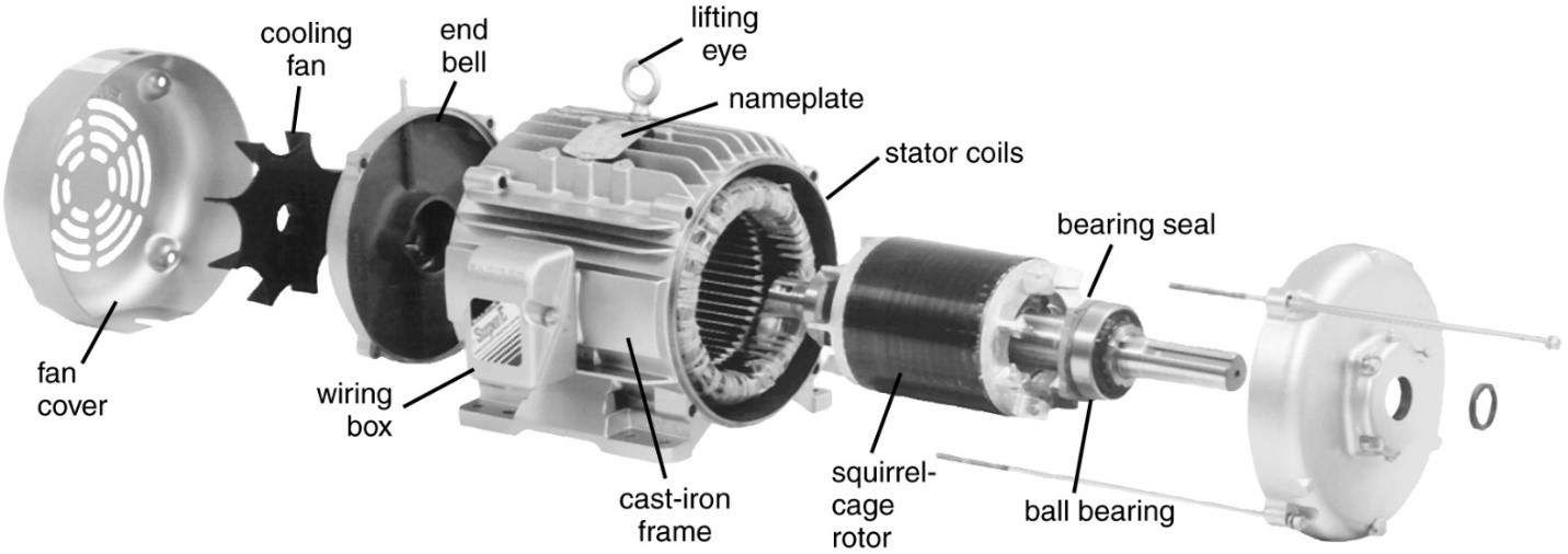 Three-Phase Squirrel Cage Induction Motor